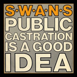“Public Castration is a Good Idea (live)”的封面